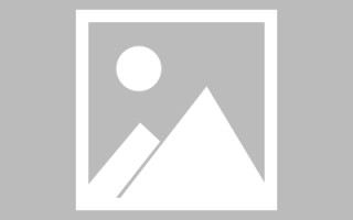 山南网页设计师周记（网页设计周记26篇300字）