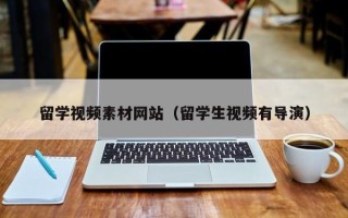 山南留学视频素材网站（留学生视频有导演）